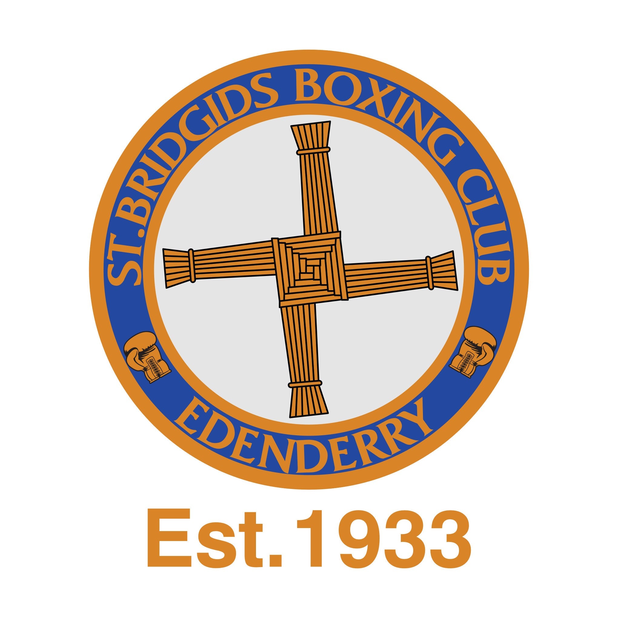 St Brigids Boxing